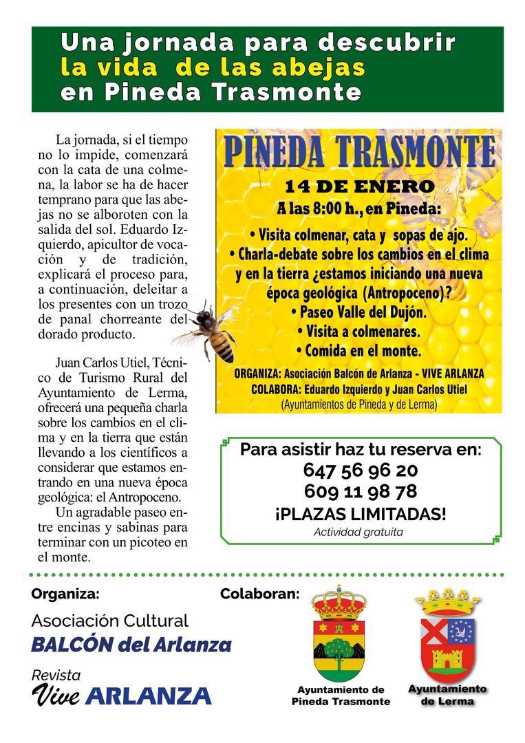 Descubre la vida de las abejas en Pineda Trasmonte