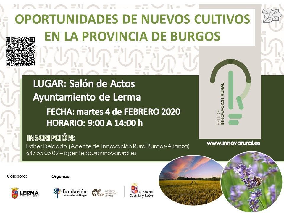 Oportunidades de nuevos cultivos en la provincia de Burgos (Lerma)