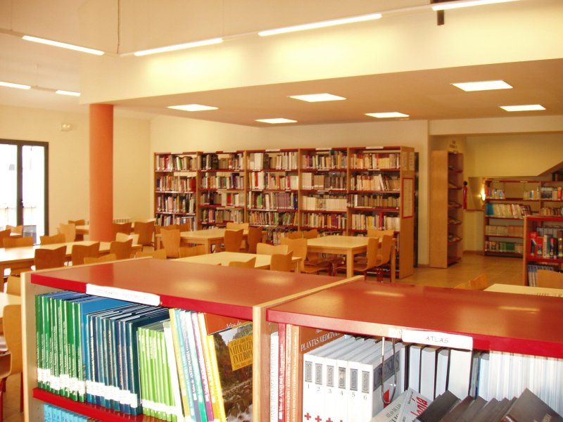 Biblioteca y Archivo
